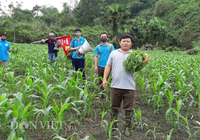 Yên Bái: Leo đồi, vượt núi tuyên truyền phòng, chống dịch Covid-19 - Ảnh 5.