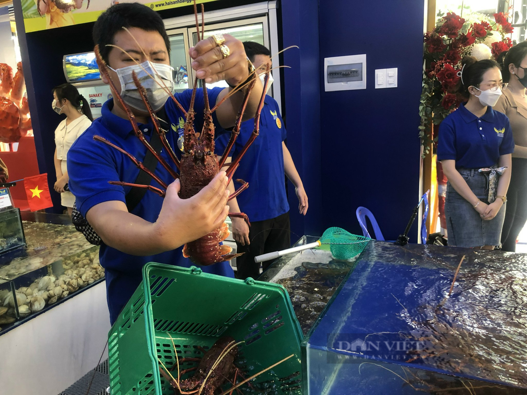 Nhà giàu Sài Gòn chuộng tôm hùm Úc, cá bơn, bào ngư Hàn Quốc cuối năm - Ảnh 1.