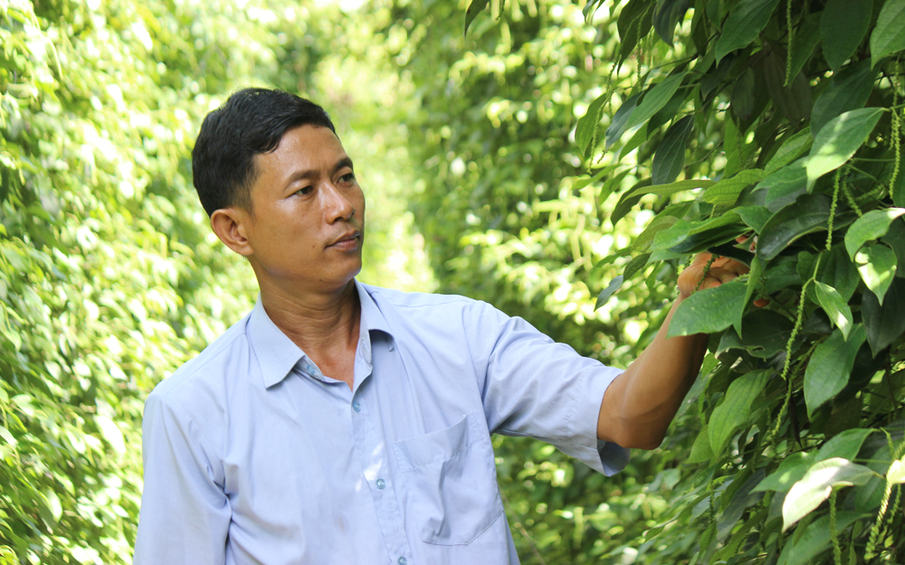 Lúng túng làm nông nghiệp hữu cơ: Nông dân không thể &quot;nhịn đói&quot; theo đuổi tình yêu hữu cơ