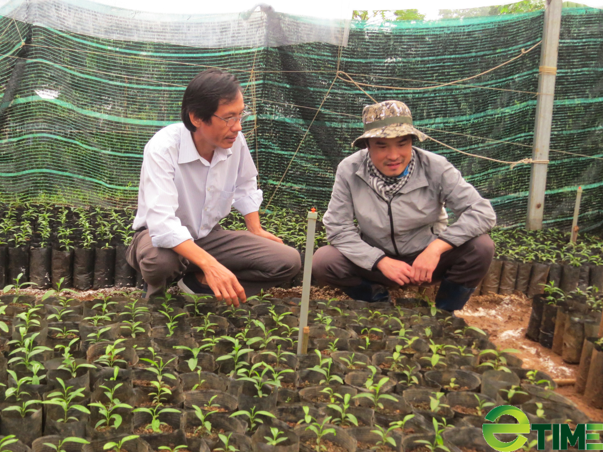 Chàng giảng viên đam mê giải mã chuỗi sản phẩm cây dược liệu quý - Ảnh 5.