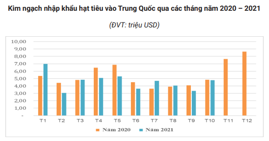 Trung Quốc mua chậm lại, giá tiêu có lao dốc? - Ảnh 2.