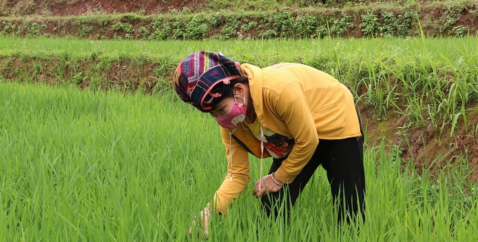 Hội Nông dân Yên Châu: Nâng cao ý thức phòng, chống dịch Covid-19 cho hội viên - Ảnh 3.