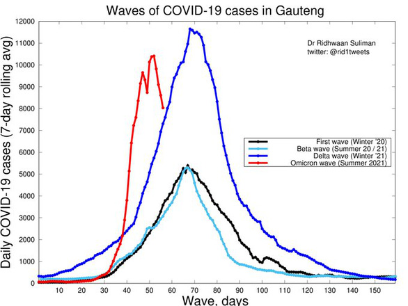 Tin vui Covid-19: Làn sóng Omicron đáng sợ ở Nam Phi bất ngờ sụt giảm mạnh - Ảnh 2.