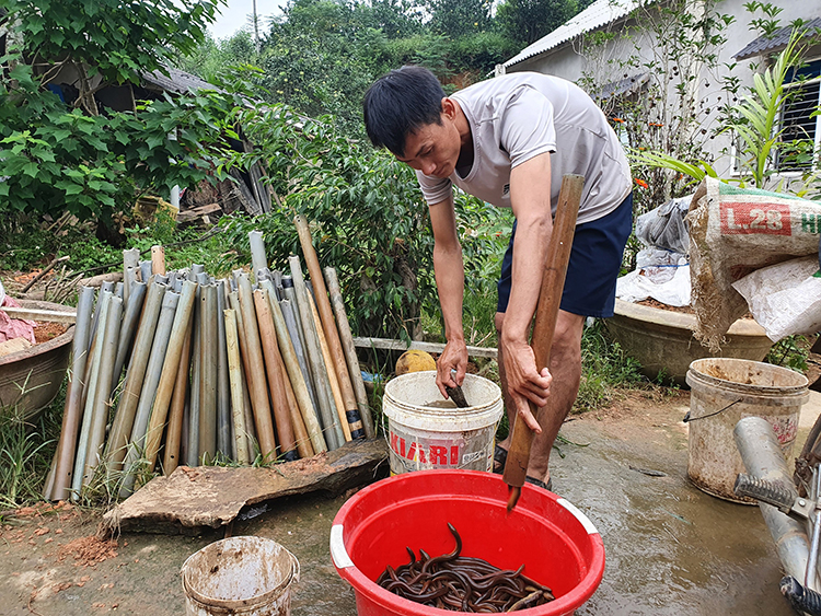 Phú Thọ: Theo anh trai làng đi ra đồng không mông quạnh nhử bắt con đặc sản, ai nhìn thấy cũng muốn mua - Ảnh 1.