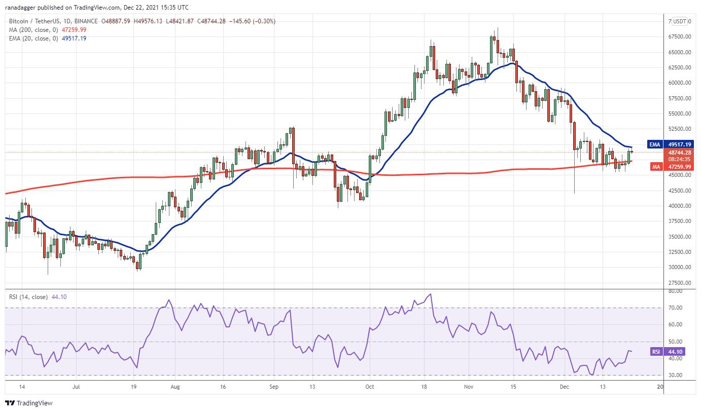 Giá Bitcoin hôm nay 23/12: Bitcoin không vượt được ngưỡng 50.000 USD, Altcoin lớn tiếp tục bứt phá - Ảnh 1.