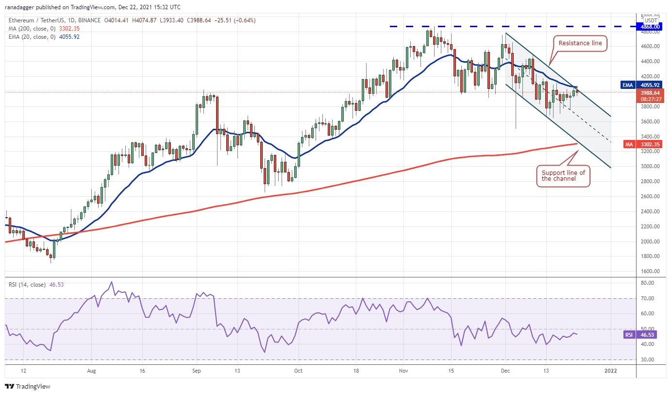 Giá Bitcoin hôm nay 23/12: Bitcoin không vượt được ngưỡng 50.000 USD, Altcoin lớn tiếp tục bứt phá - Ảnh 2.