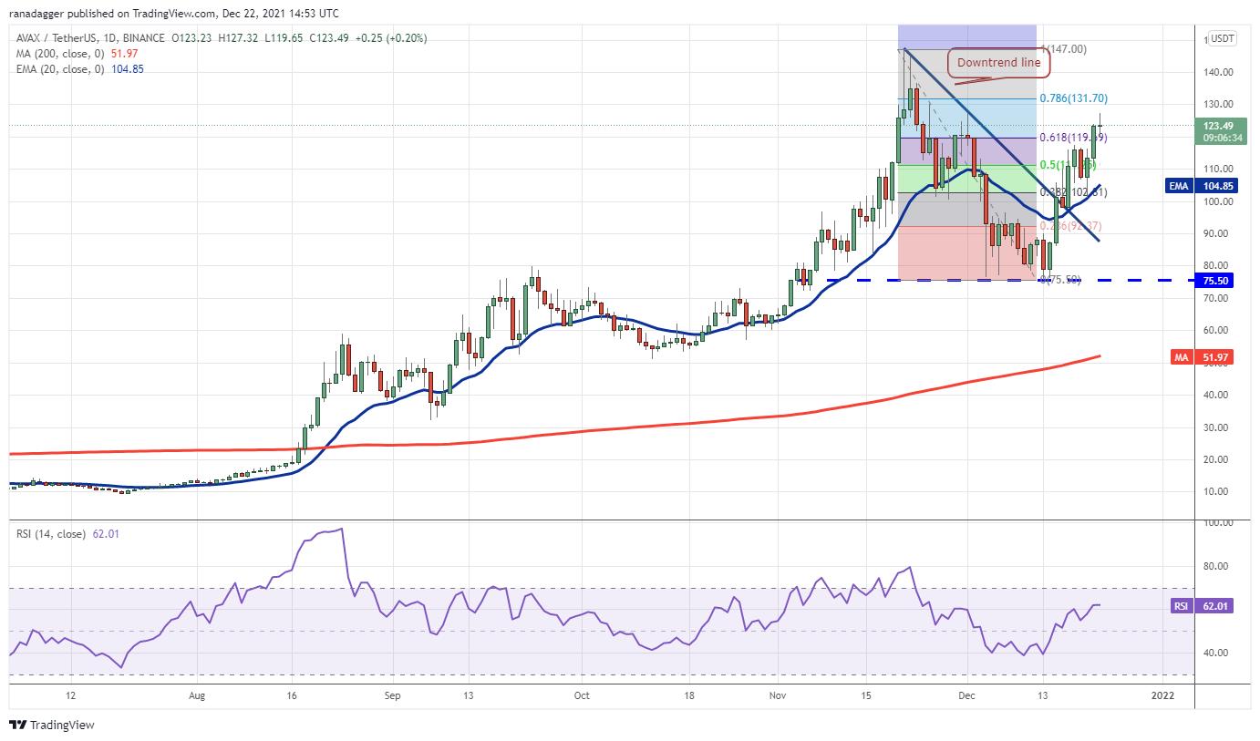 Giá Bitcoin hôm nay 23/12: Bitcoin không vượt được ngưỡng 50.000 USD, Altcoin lớn tiếp tục bứt phá - Ảnh 4.