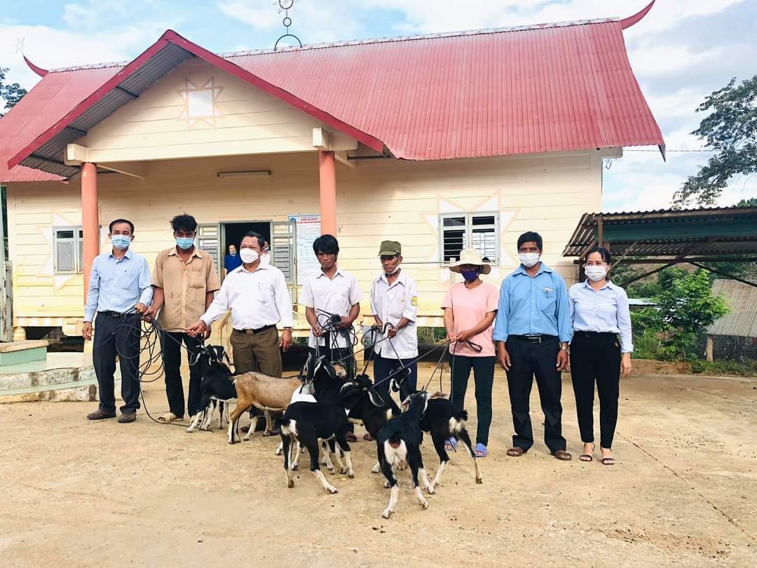 Gia Lai: Xã nghèo thực hiện mục tiêu kép, phấn đấu về đích nông thôn mới - Ảnh 3.