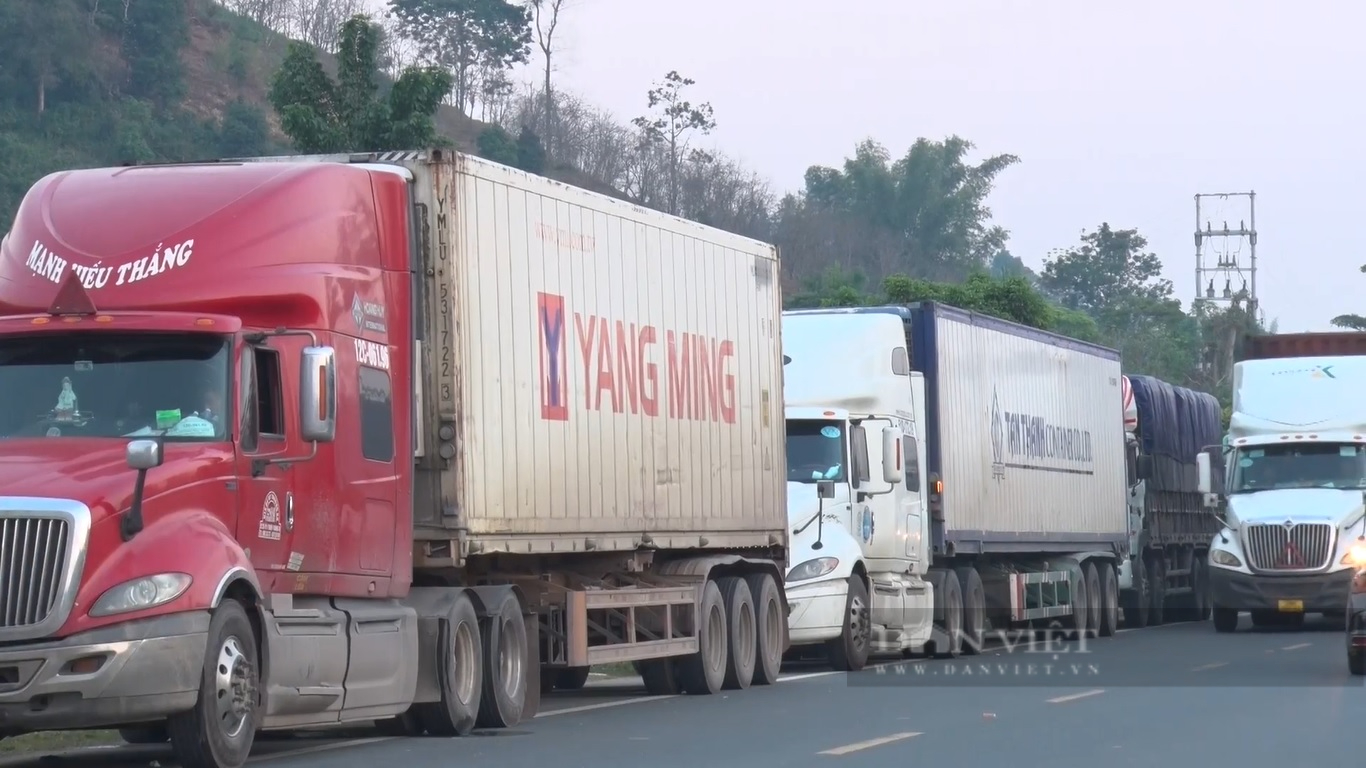5.000 xe nông sản ùn tắc tại biên giới: Hòn đá lớn cản đường xuất khẩu - Ảnh 2.