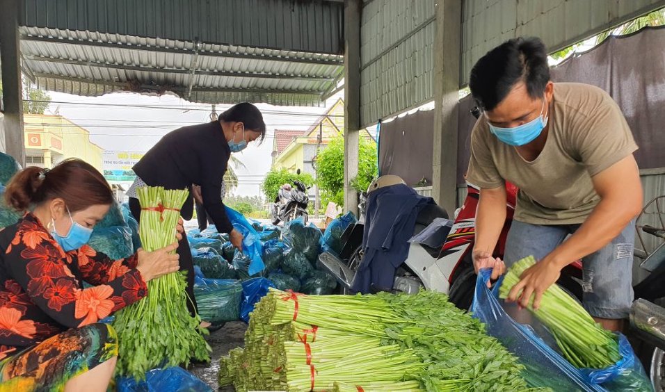 Bạc Liêu: Nông dân đồng lòng phòng chống dịch, yên tâm sản xuất - Ảnh 1.