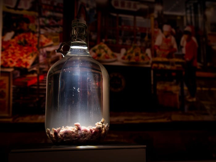 Kỳ lạ với Bảo tàng thực phẩm khiến du khách muốn &quot;nôn ói&quot; từ cái nhìn đầu tiên - Ảnh 7.