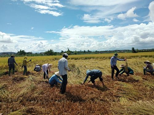 Hội ND Quảng Ngãi: Lan tỏa những giá trị đẹp trong mùa dịch - Ảnh 1.