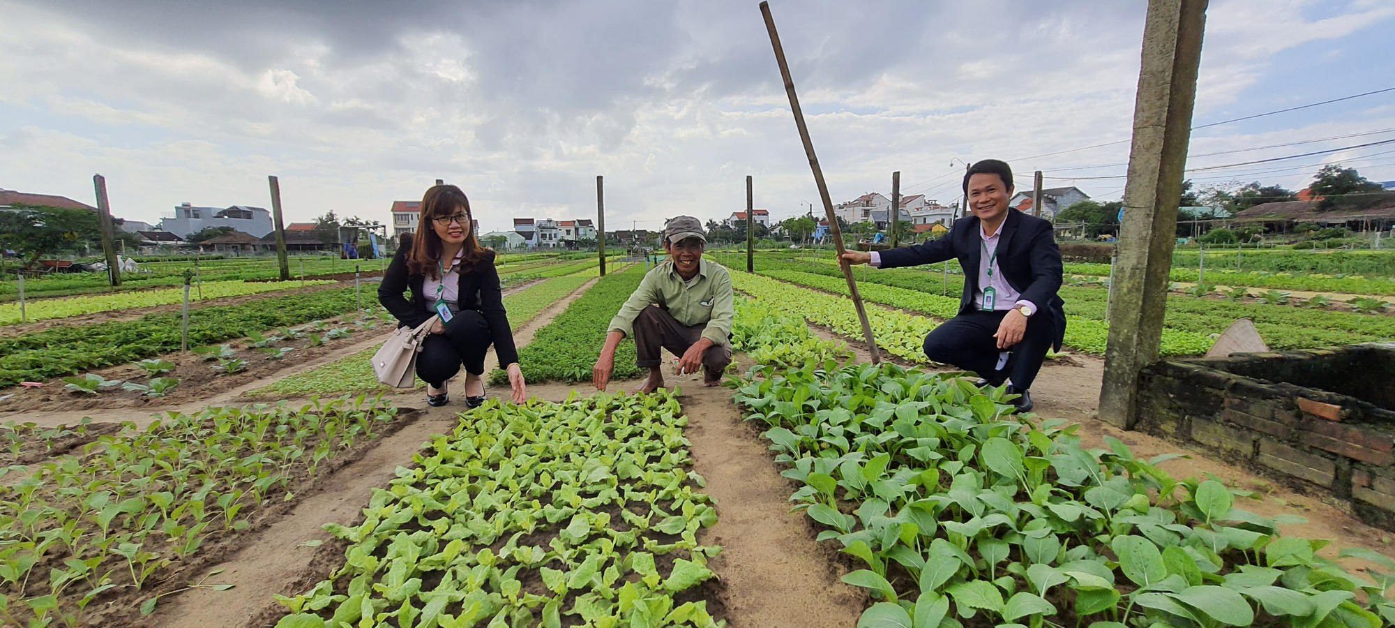 Quảng Nam: Nông dân trồng rau ở Hội An khá giả nhờ được nguồn vốn ưu đãi tiếp sức - Ảnh 1.