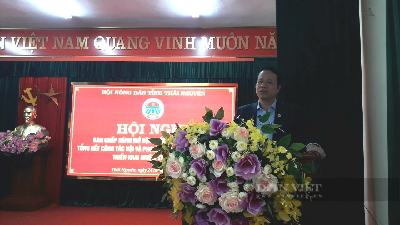 Hội nông dân tỉnh Thái Nguyên đóng góp vai trò quan trọng trong phát triển kinh tế xã hội của tỉnh - Ảnh 2.