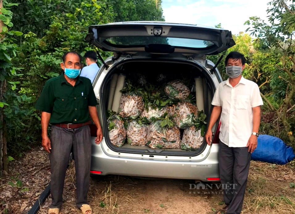 Hội Nông dân Bà Rịa – Vũng Tàu: “Bà đỡ” tiêu thụ nông sản nông dân trong dịch Covid-19 - Ảnh 4.