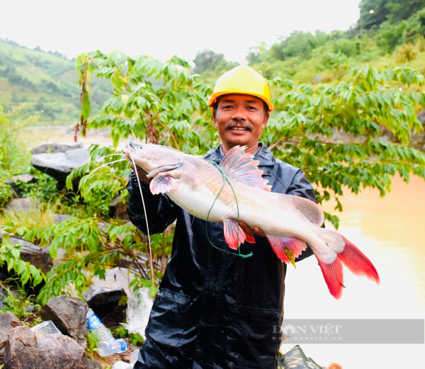 Loài &quot;thủy quái” đuôi đỏ trứ danh đất Gia Lai được mệnh danh đắt giá nhất dòng Sê San, săn bắt vô cùng khó khăn - Ảnh 10.