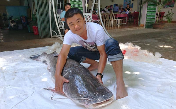 Loài &quot;thủy quái” đuôi đỏ trứ danh đất Gia Lai được mệnh danh đắt giá nhất dòng Sê San, săn bắt vô cùng khó khăn - Ảnh 2.