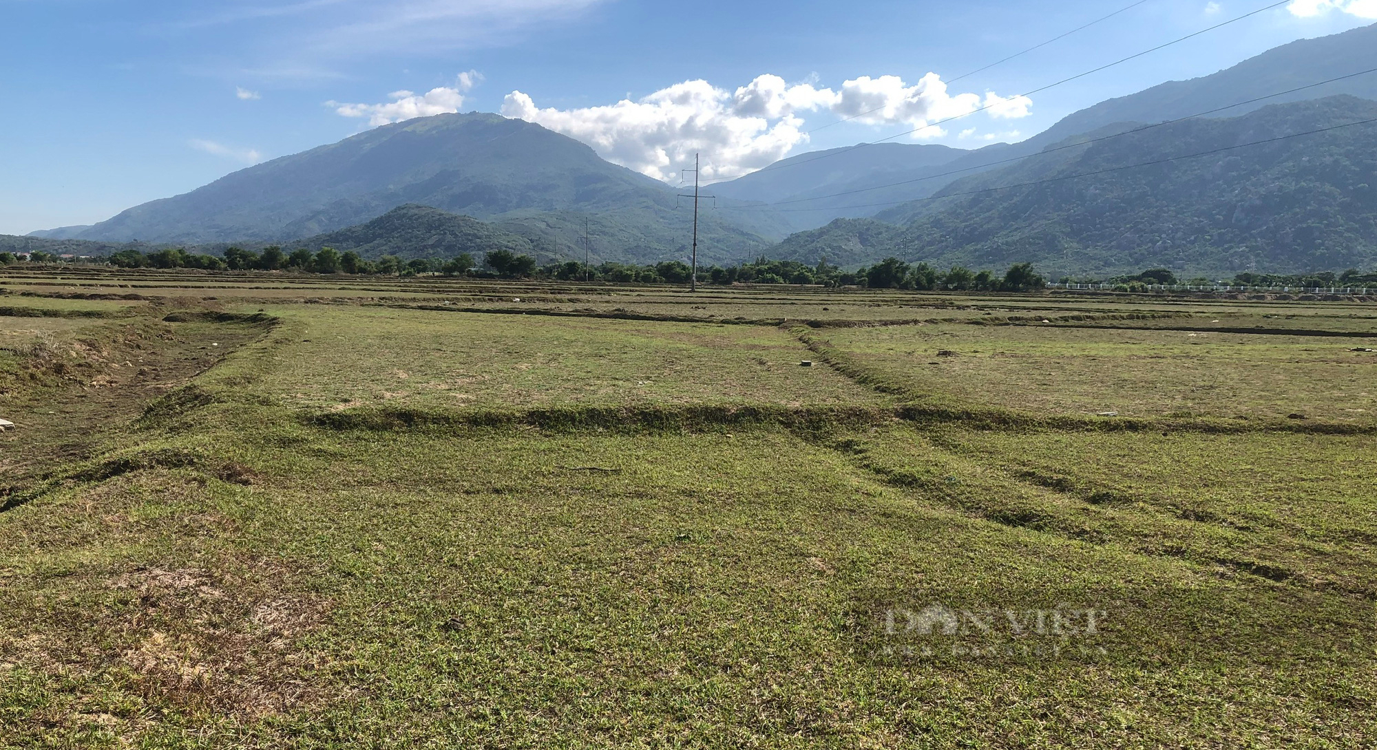 Ninh Thuận: KCN Du Long có diện tích hơn 407 ha chưa có nhà đầu tư thứ cấp - Ảnh 3.