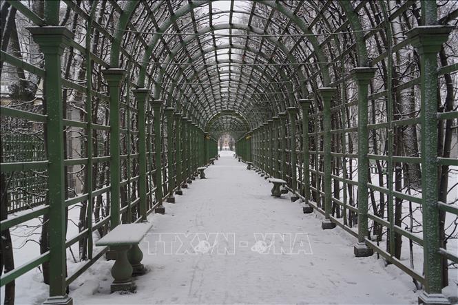 Thủ đô phương Bắc của nước Nga tuyết trắng - Ảnh 10.