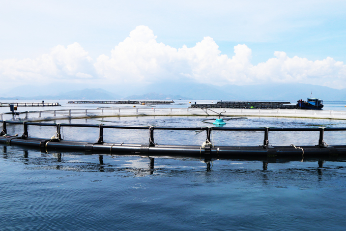 Việt Nam sẽ có 300.000ha diện tích mặt nước nuôi biển, kim ngạch xuất khẩu đạt 2 tỷ USD - Ảnh 3.