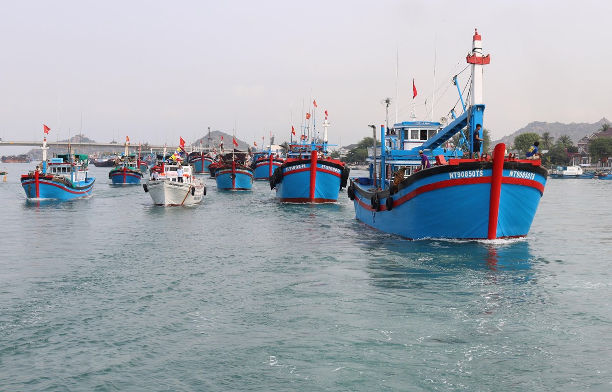 Chương trình quốc gia bảo vệ và phát triển nguồn lợi thủy sản: Sẽ thành lập các khu bảo tồn biển - Ảnh 2.