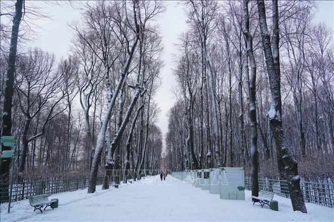 Thủ đô phương Bắc của nước Nga tuyết trắng - Ảnh 9.