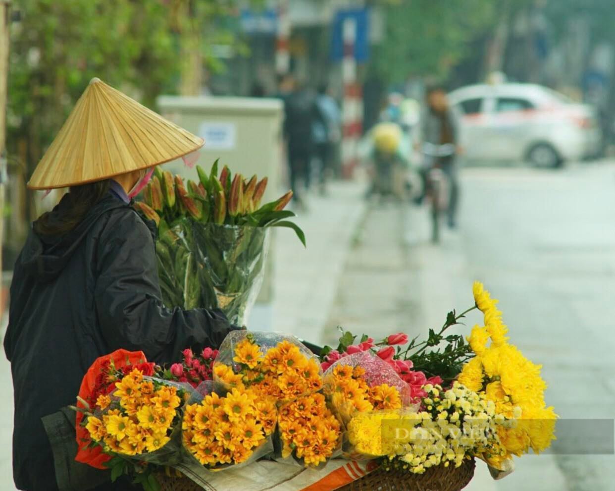 lao động di cư 