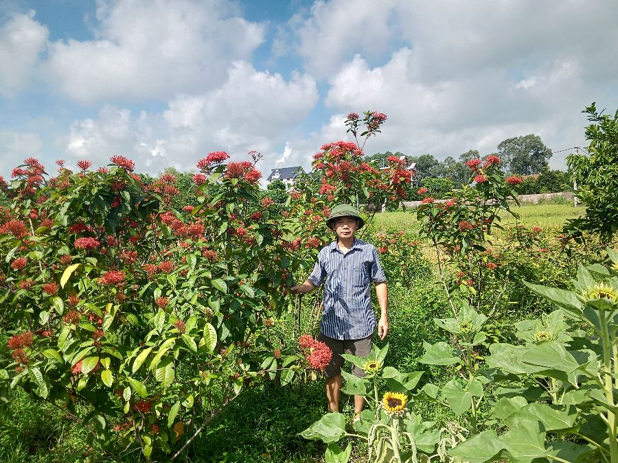 Bắc Giang: Tình cờ trồng những loại cây cảnh, loại hoa này, ai ngờ ông nông dân có tiều tiêu rủng rỉnh - Ảnh 2.