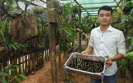 Hotboy người Tày dày công nuôi con ăn bẩn, chị em nhìn thấy "la làng" nhưng chàng ta lại khá giả lên