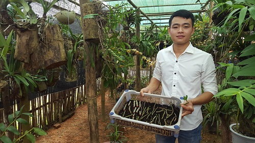 Hotboy người Tày dày công nuôi con ăn bẩn, chị em nhìn thấy &quot;la làng&quot; nhưng chàng ta lại khá giả lên - Ảnh 2.