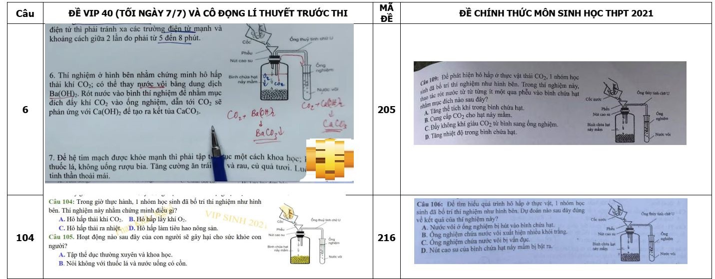 TS Phạm Văn Lập: Cần điều chỉnh quy trình làm đề thi tốt nghiệp THPT - Ảnh 1.