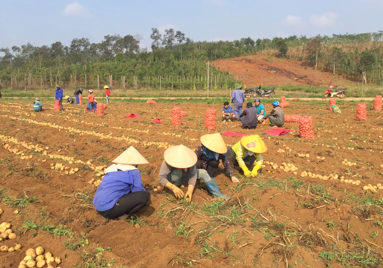 Huyện Tuy Đức: Những thành tựu sau 15 năm hình thành, phát triển - Ảnh 4.