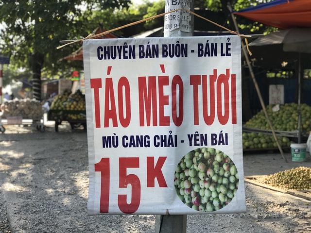 Táo mèo giá rẻ bán la liệt vỉa hè, dân Hà thành gom mua cả chục cân - Ảnh 2.