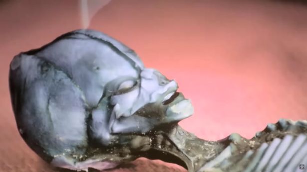 Bí ẩn về bộ xương kỳ lạ có đầu hình nón giống người ngoài hành tinh khiến giới khoa học sửng sốt - Ảnh 3.