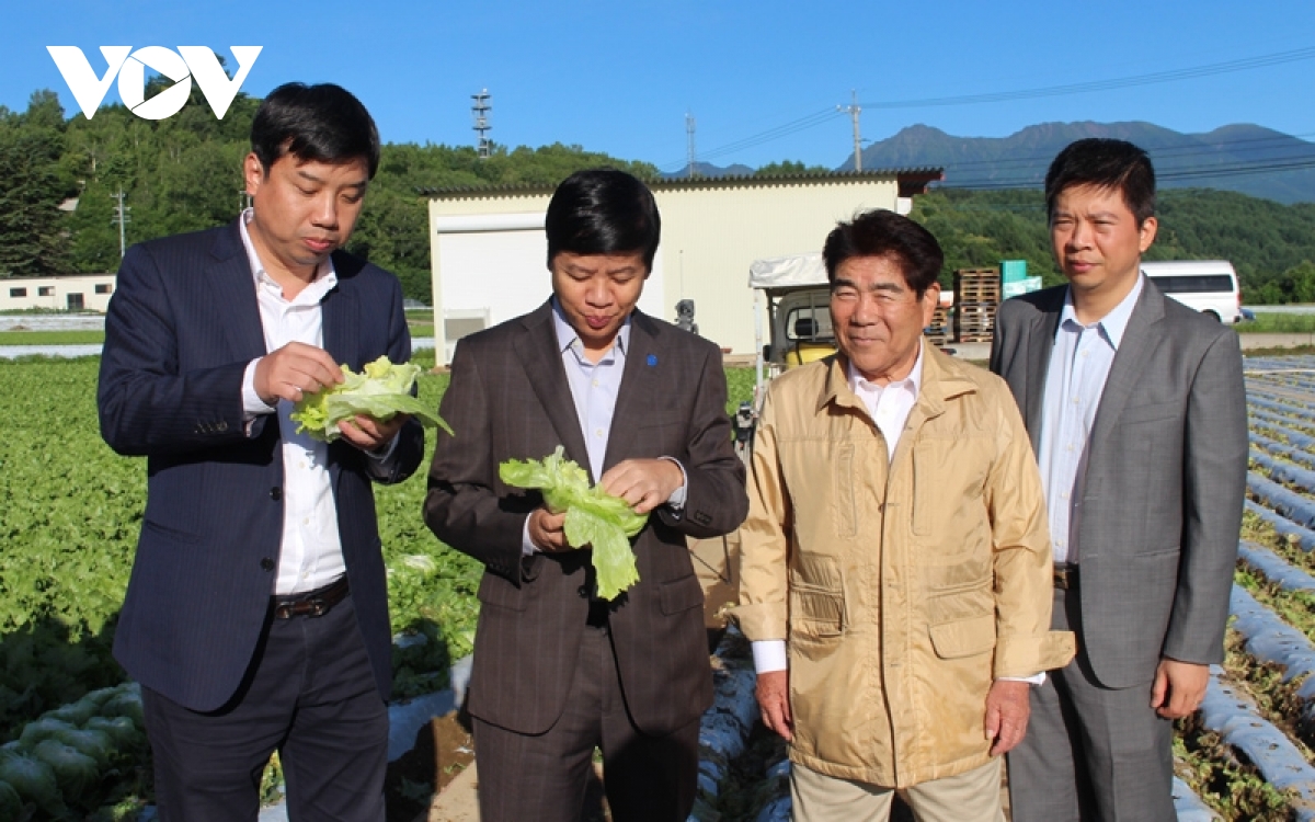 Nhật Bản nâng tầm giá trị nông sản thành công  - Ảnh 2.
