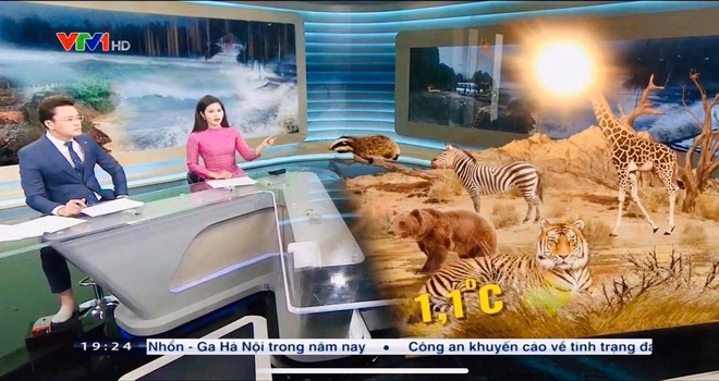 Sự cố &quot;khó đỡ&quot; trên sóng trực tiếp của BTV Thời sự VTV, MC bất ngờ bị “đào lại” - Ảnh 4.