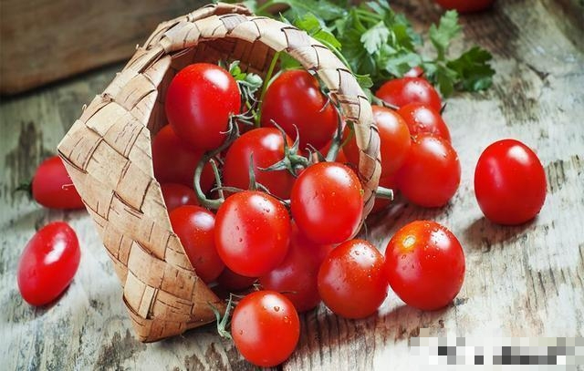 Cà chua quá đắt, mách bạn cách trồng cà chua ở ban công, vừa đẹp vừa ăn được luôn - Ảnh 10.