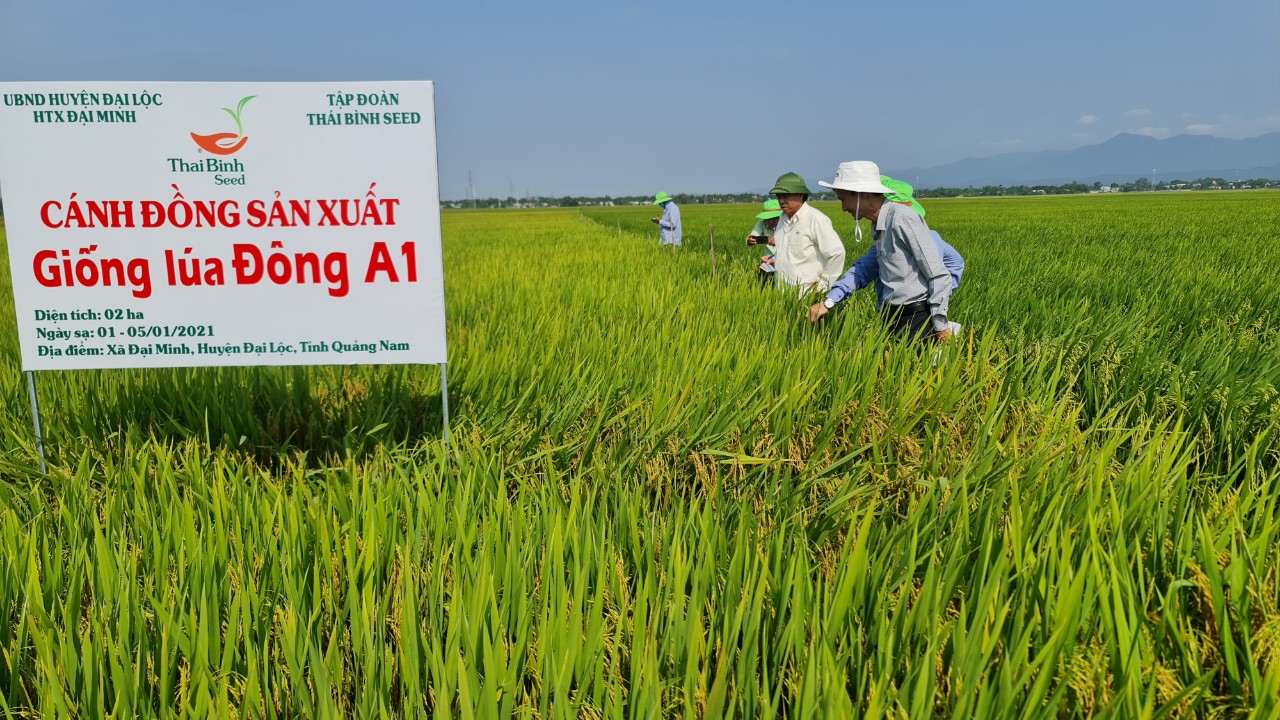 ThaiBinh Seed hành trình ghi nhận dấu ấn tại miền Trung - Tây Nguyên - Ảnh 8.