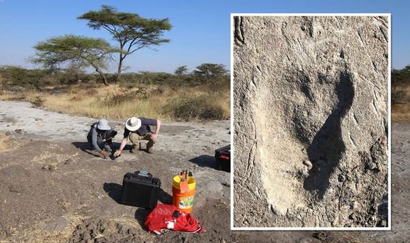 Giải mã bí ẩn về dấu chân kỳ lạ xuất hiện từ 3,7 triệu năm trước - Ảnh 1.
