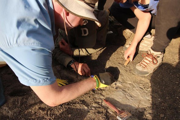 Giải mã bí ẩn về dấu chân kỳ lạ xuất hiện từ 3,7 triệu năm trước - Ảnh 2.