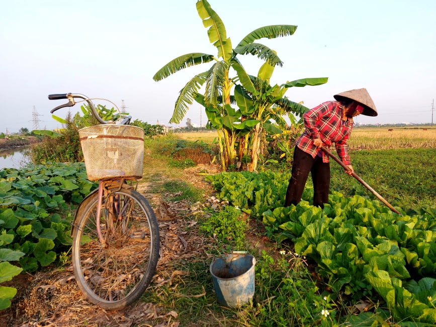 Kể chuyện làng: Xe đạp trong miền ký ức của mẹ - Ảnh 2.