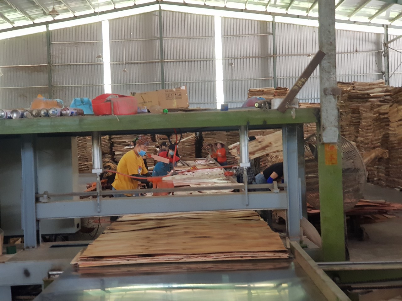 Thương nhân Trung Quốc phủ các xưởng ván bóc  tăng tốc mua ván bóc của Việt Nam để làm gì? - Ảnh 1.