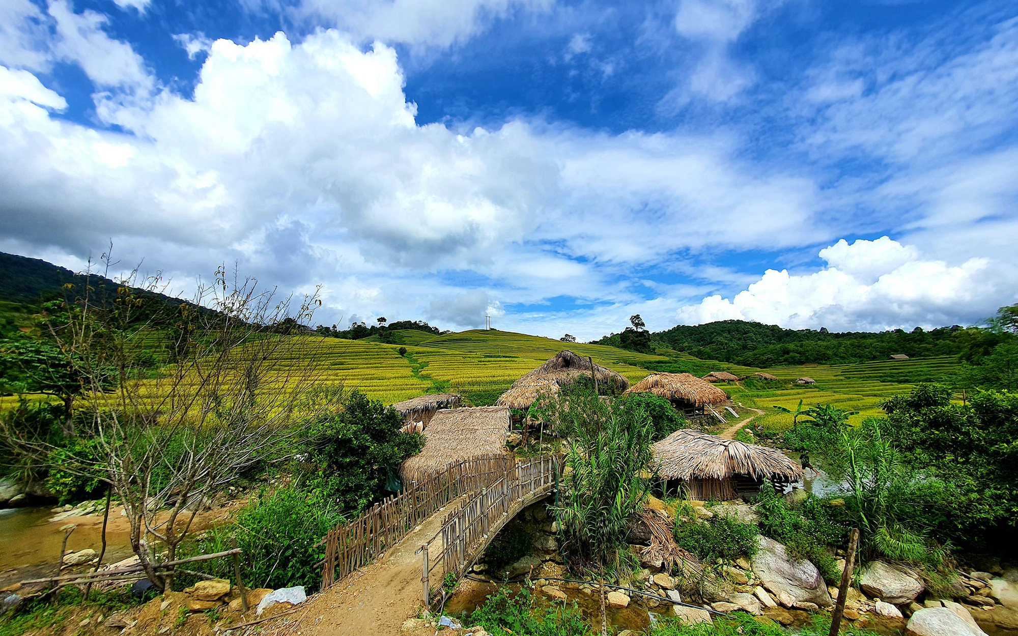 Hà Giang: Bản người Dao trên dãy núi Tây Côn Lĩnh đẹp như miền cổ tích, thơm lừng thứ trà độc nhất vô nhị