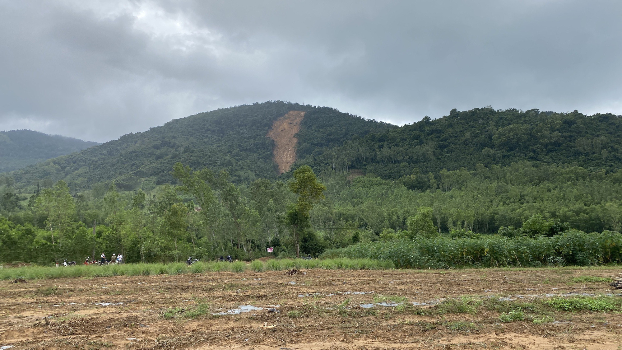 Sạt lở kinh hoàng, 8 hecta cây rừng, đất đá từ đỉnh núi Trang Dài bất ngờ đổ ập xuống - Ảnh 1.