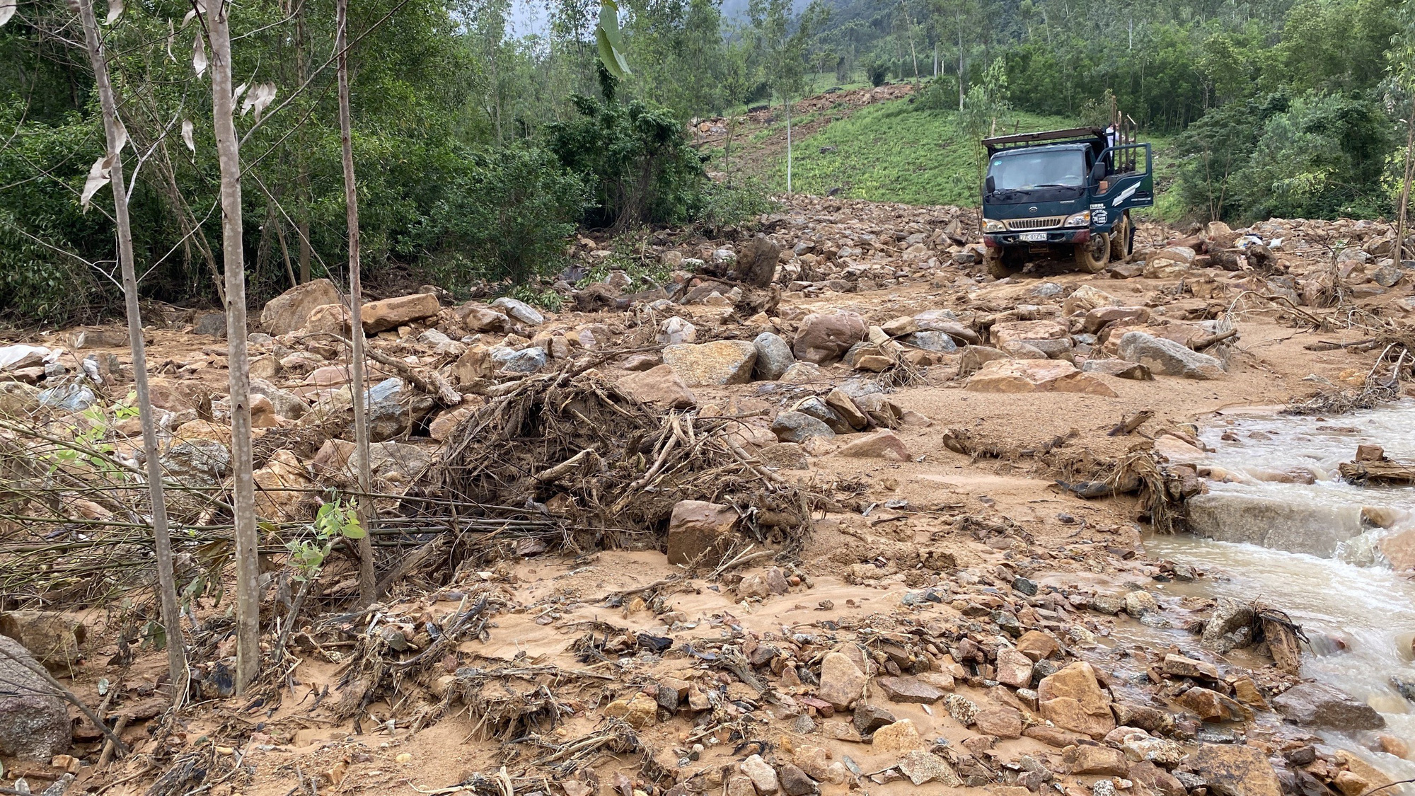 Sạt lở kinh hoàng, 8 hecta cây rừng, đất đá từ đỉnh núi Trang Dài bất ngờ đổ ập xuống - Ảnh 2.