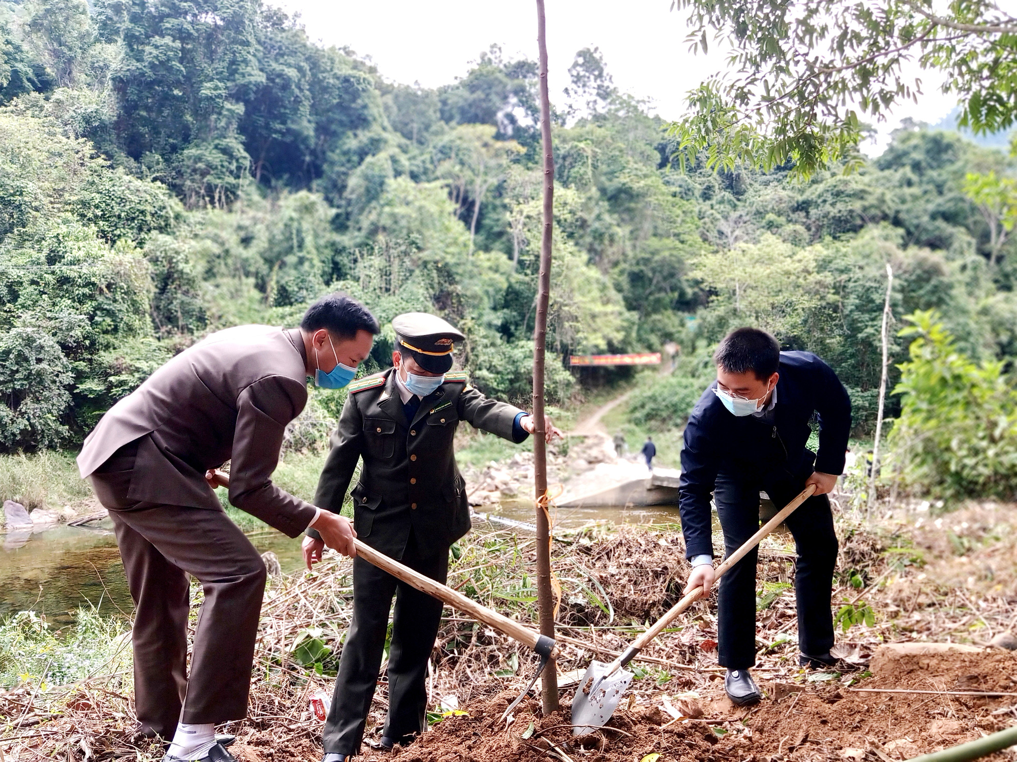 Bộ trưởng Lê Minh Hoan đề nghị kiểm tra, rà soát diện tích rừng bị phá, lấn chiếm sử dụng sai mục đích - Ảnh 1.