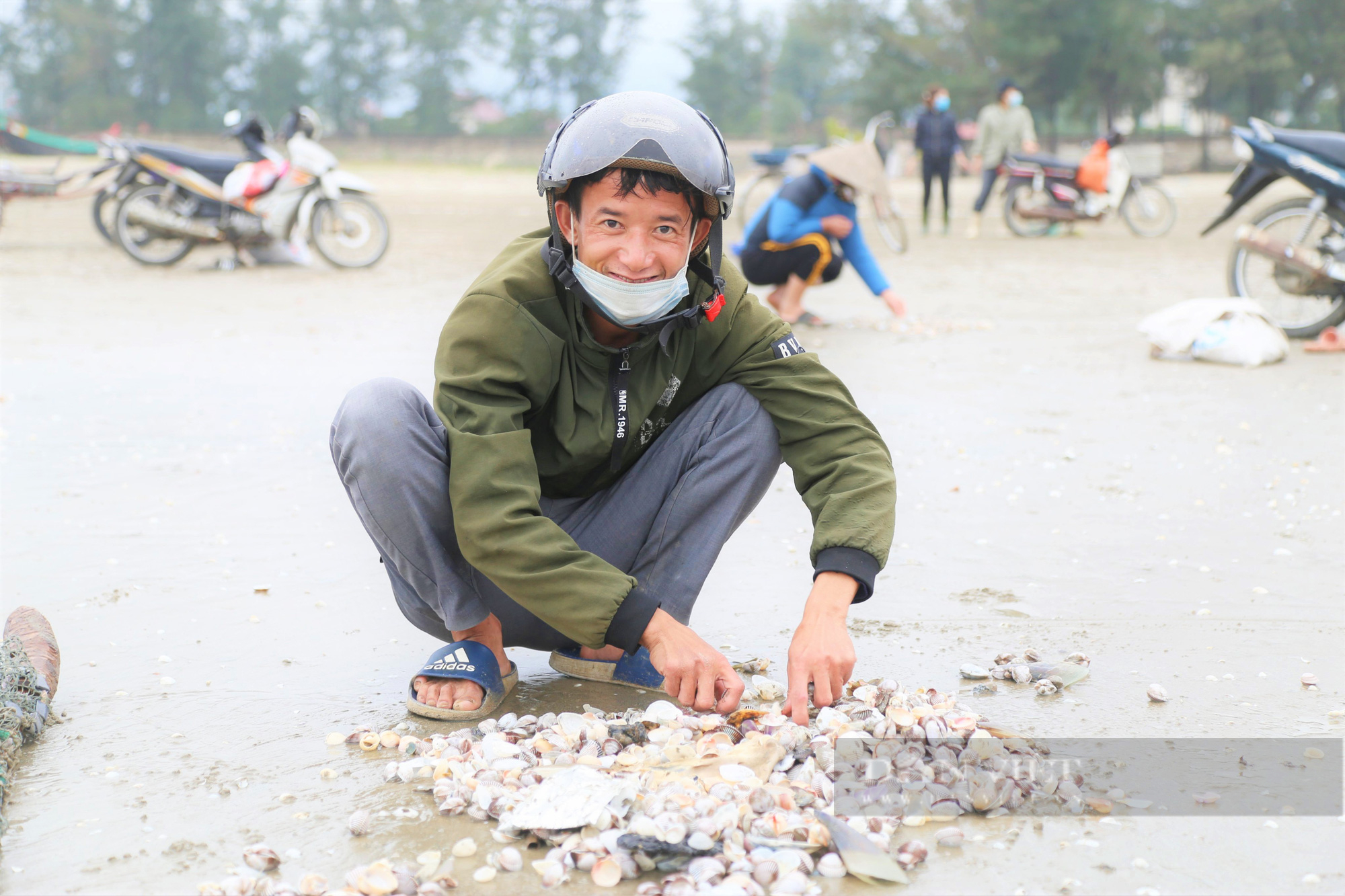 Hàng trăm ngư dân Hà Tĩnh đổ xô ra bờ biển nhặt sò huyết, mỗi ngày kiếm được tiền triệu - Ảnh 1.