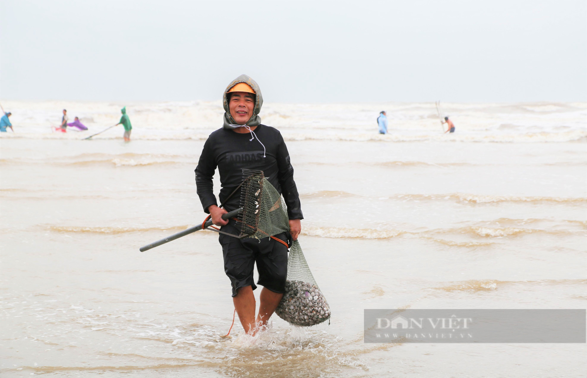 Hàng trăm ngư dân Hà Tĩnh đổ xô ra bờ biển nhặt sò huyết, mỗi ngày kiếm được tiền triệu - Ảnh 8.