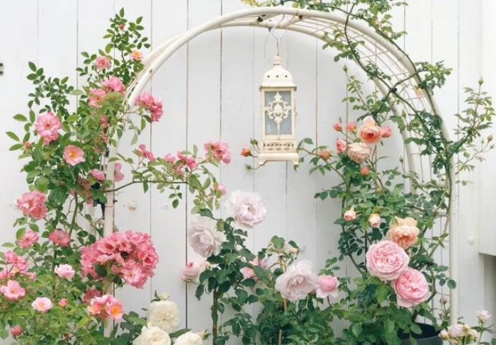Vì yêu hoa, cô gái xinh như mộng mua ngay căn hộ áp mái để trồng cả vườn hồng trên sân thượng rộng 33m² - Ảnh 1.