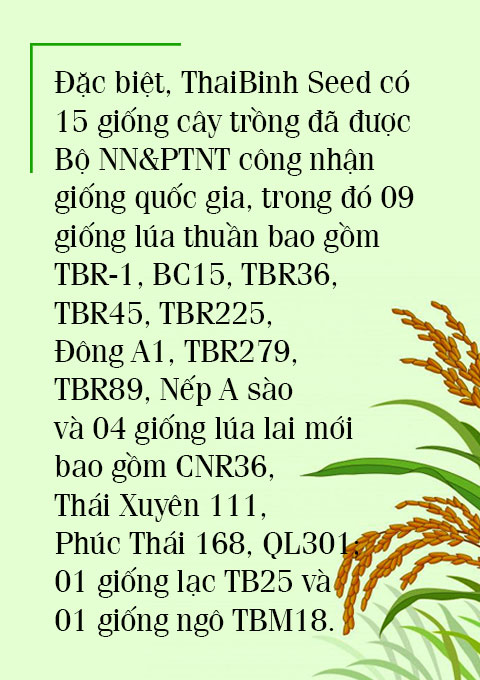 ThaiBinh Seed và nửa thế kỷ đồng hành cùng nông dân (Bài 1) - Ảnh 3.